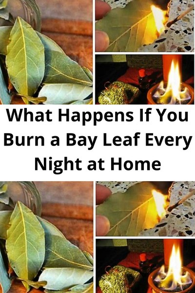 What Happens If You Burn a Bay Leaf Every Night at Home