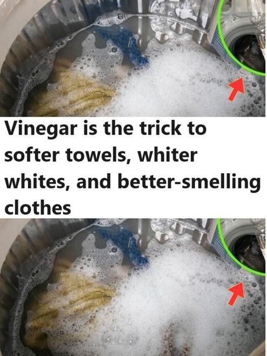 My Clothes Were Never Pure White and Fresh Smelling After Washing, Then My Neighbor Told Me This Trick!