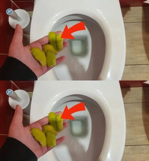 You no longer have to throw away lemon peels: if you put them in the toilet, this is what happens