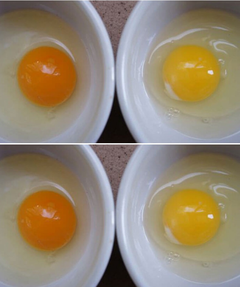 Here’s What Happens To Your Body When You Eat Two Eggs A Day. I Never Thought About #3… Amazing!