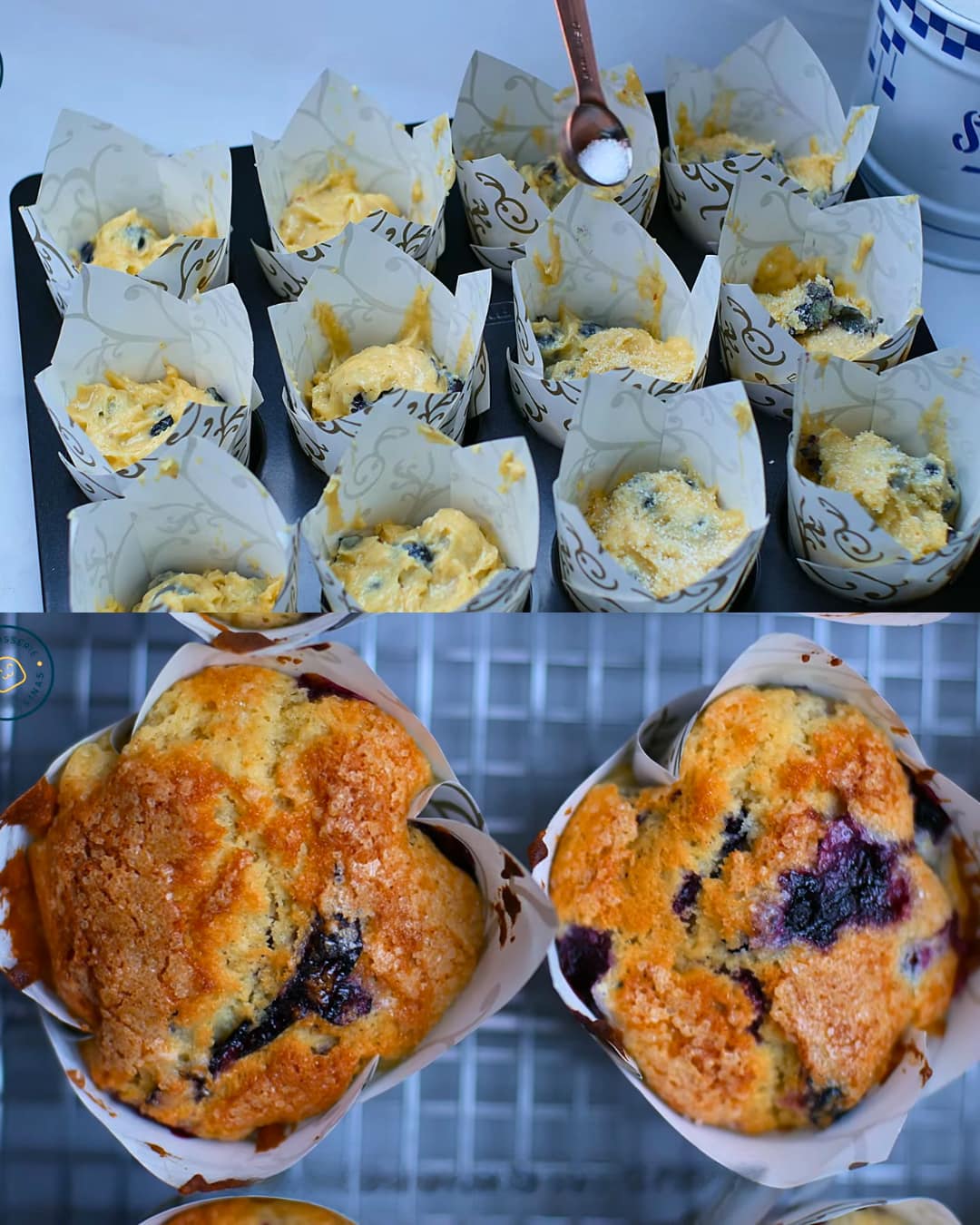 Blueberry Muffins