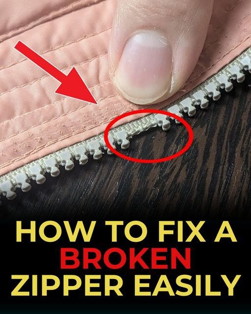 How To Fix A Broken Zipper Easily