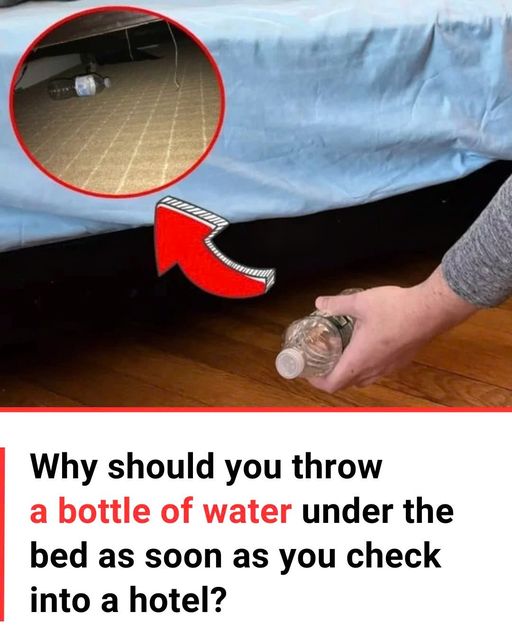 Why should you throw a bottle of water under the bed as soon as you check into a hotel?