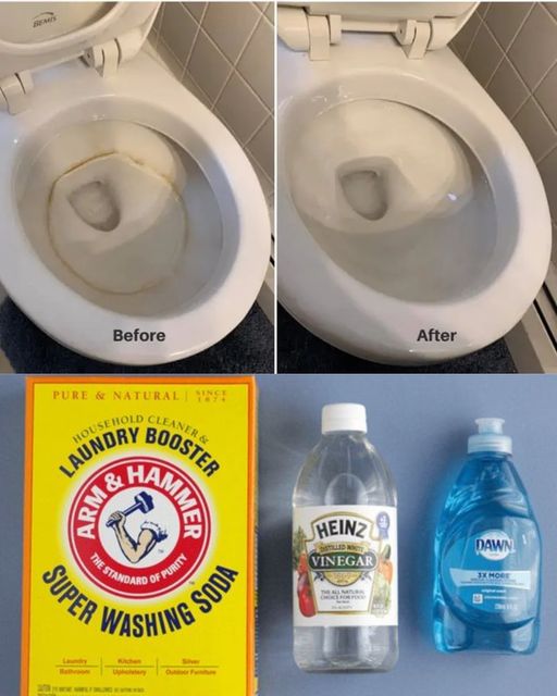 Tired of unsightly toilet bowl rings? Don’t worry, we have a simple solution that will have your toilet sparkling clean in no time!