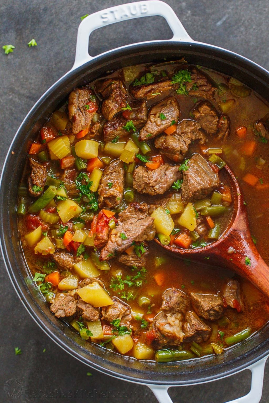 Vegetable Beef Soup