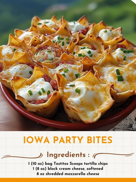 Iowa Party Bites