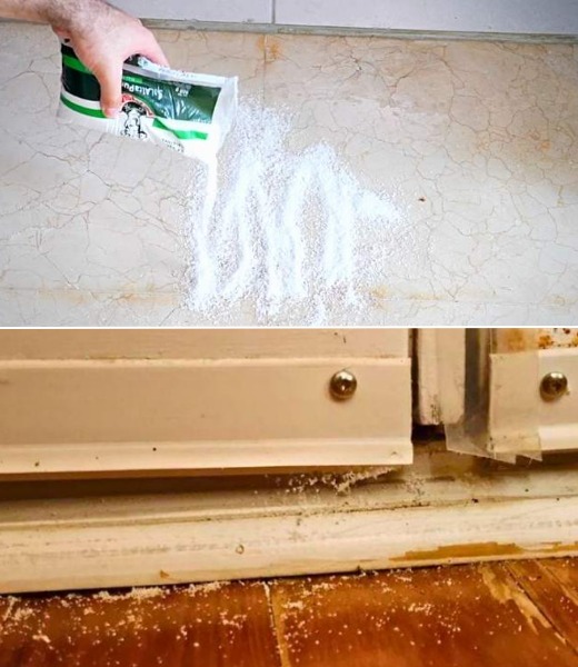 Why You Should Put Salt Under Your Front Door? We Discover the Amazing Truth!