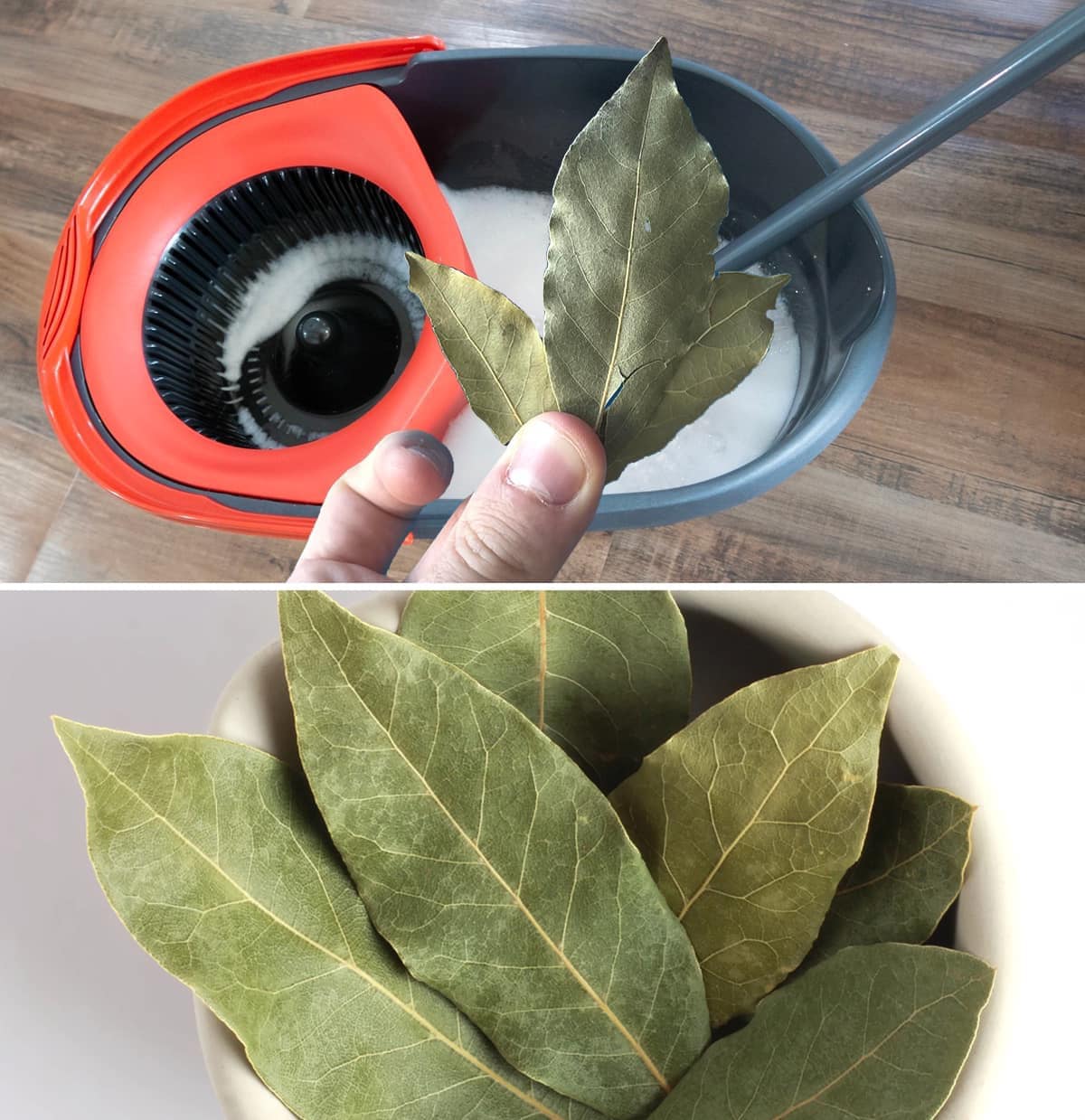 That’s why you need to put a bay leaf in the mop bucket