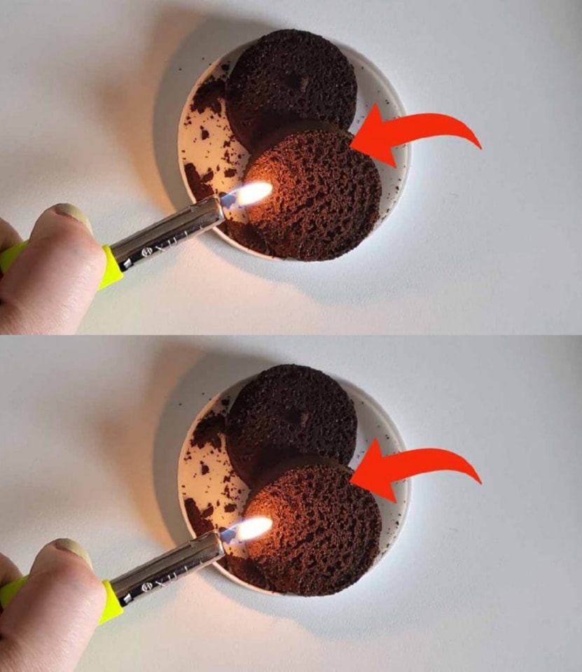 What Happens If You Burn Coffee Grounds at Home: You’ll Be Addicted!