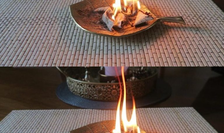 Burning a bay leaf at home: here’s why you should try it right away