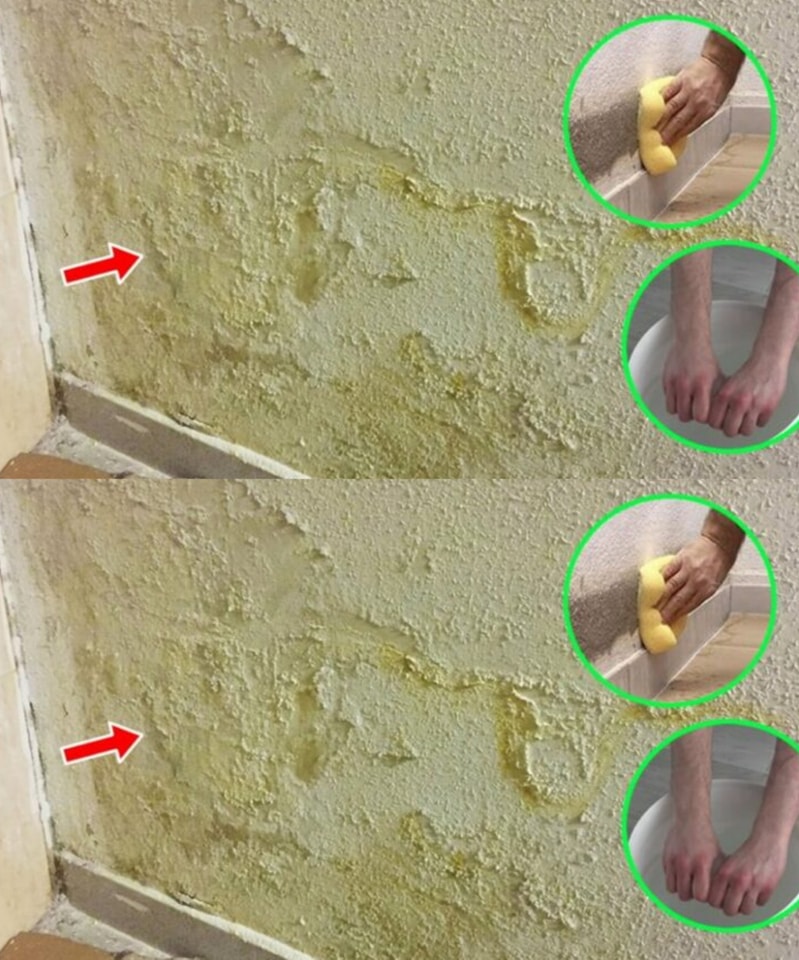 The most effective advice for removing saltpetre and mold from walls