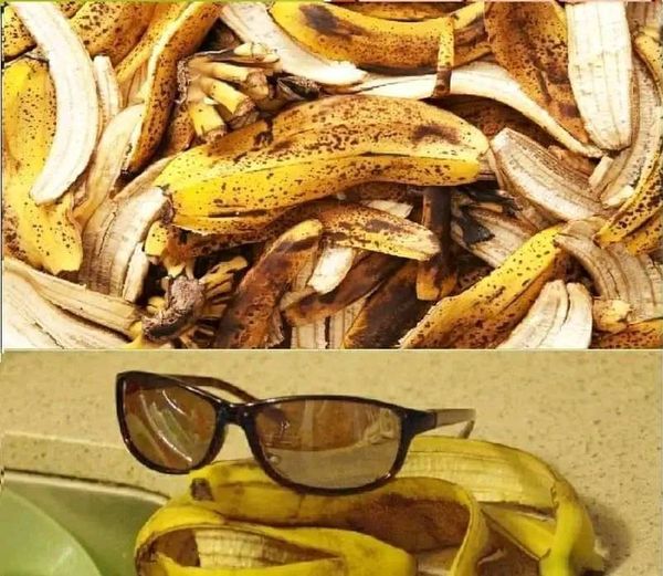 Don’t throw away banana peels, here are 7 essential uses