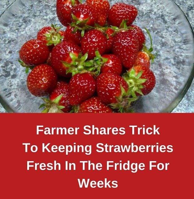 How To Keep Strawberries Fresh For Longer