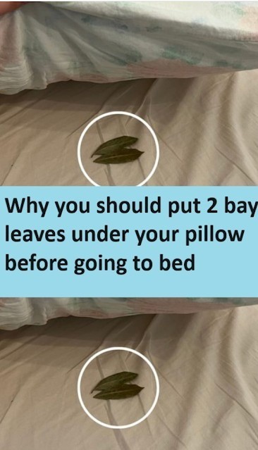 Why you should put 2 bay leaves under your pillow before going to bed