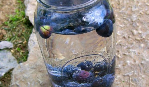 Blueberry Water Recipe: A Refreshing Twist on Hydration ‎‎