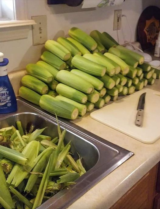 How To Properly Freeze Corn On The Cob