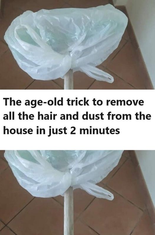 The age-old trick to remove all the hair and dust from the house in just 2 minutes