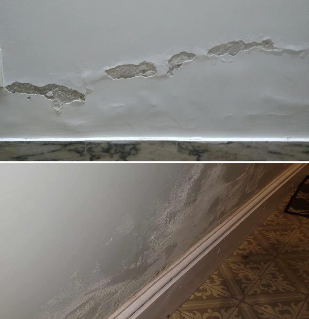 Rising Damp: The Easy and Economical DIY Method to Fix Walls Forever