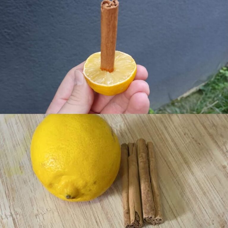 Just Stick Cinnamon in Lemon! Discover This Miracle for Your Home