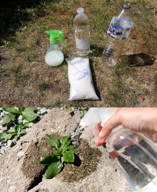 Mix vinegar with two simple and economical ingredients, weeds die instantly