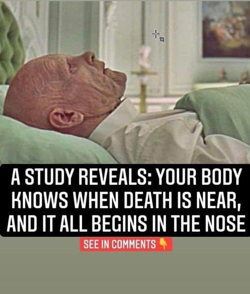 Did You Know You This? Scientists Have Found Evidence That Your Sense of Smell Could Predict Your Time of Death