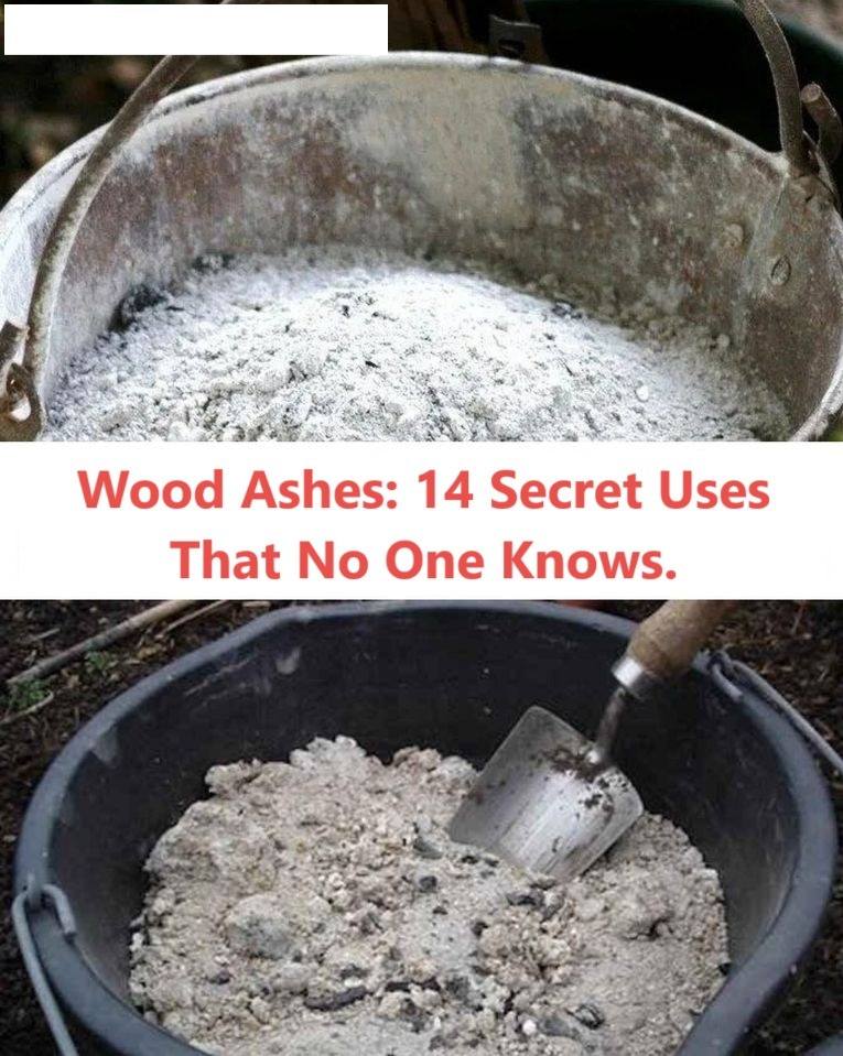 14 Surprising Uses for Wood Ash That You Probably Didn’t Know About