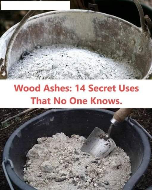 Wood Ashes: 14 Secret Uses That No One Knows.