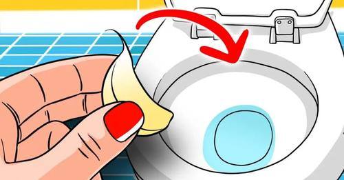 Flush Garlic Down The Toilet For This Brilliant Reason: It Can’t Live