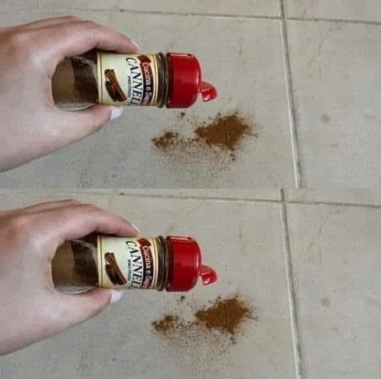 Put a pinch of cinnamon on the ground, the trick that has been working for decades