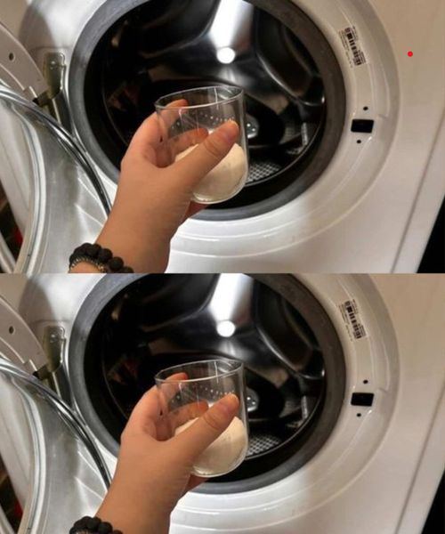 Washing machine, thanks to the glass trick you save a lot of money at the end of the month