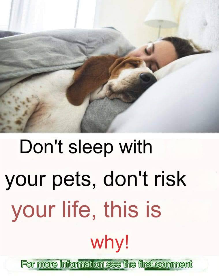 Don’t sleep with your pets