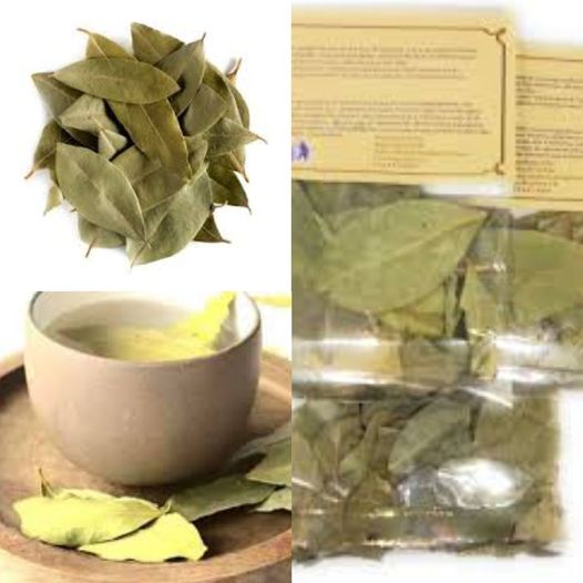 How to Make Perfect Laurel Leaf Tea