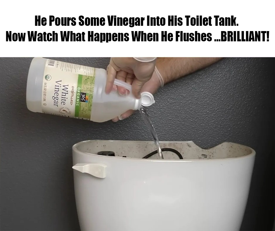 He Pours Some Vinegar Into His Toilet Tank. Now Watch What Happens When He Flushes …BRILLIANT!