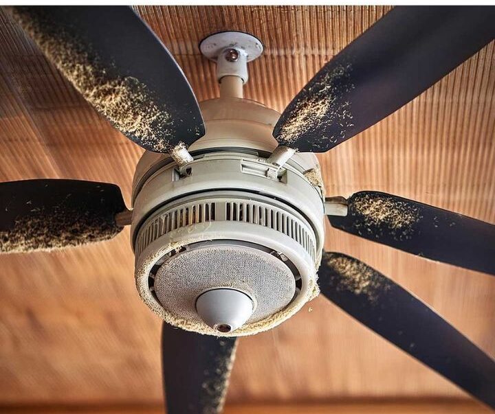 Ceiling Fan Cleaning Hack: Nana’s Genius Trick