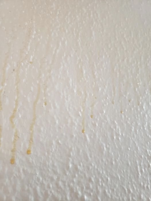 Yellow Stuff Starts Dripping Down Your Bathroom Walls? Here’s What It Might Be