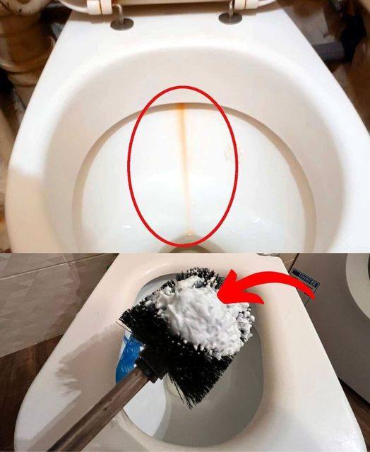 I put it on the toilet brush and use it to clean the toilet. Limescale deposits disappear in no time