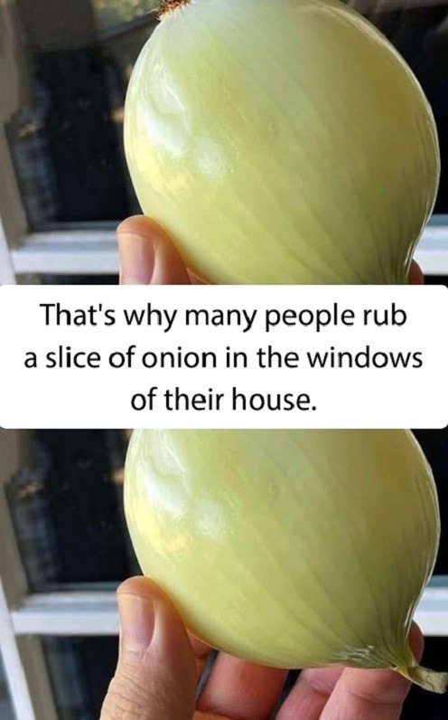 Why You Should Start Rubbing Onion on Your Windows