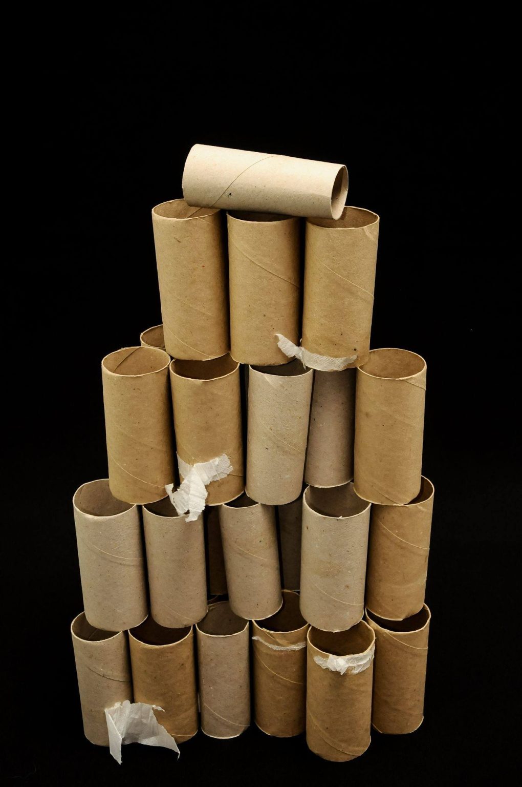 14 Creative Ways to Recycle Toilet Paper Rolls in Your Garden