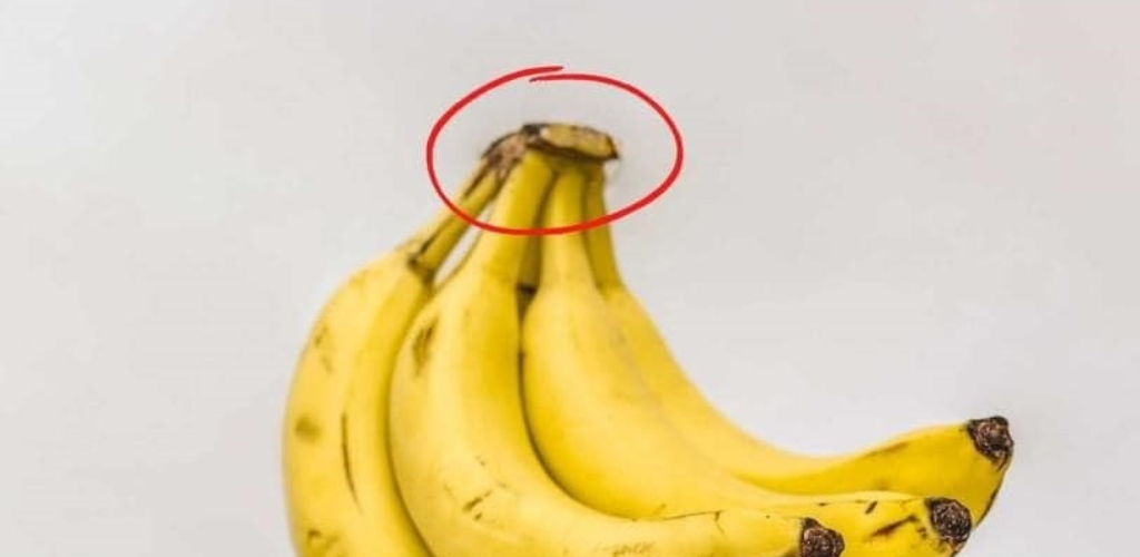 Never Throw This Part of the Banana Away: Here’s Why It’s Loved at Home