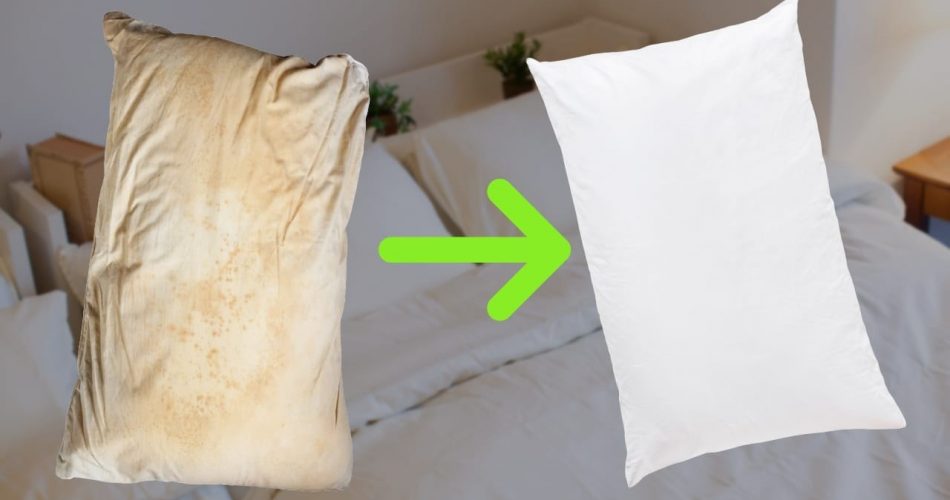 Impeccable white pillows, no washing machine necessary: grandmothers’ dry cleaning method