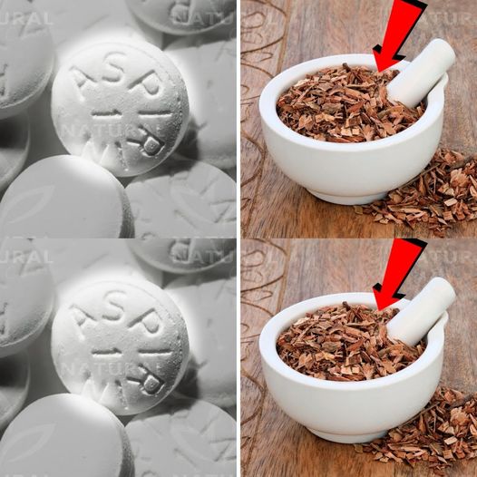 Cloves: The Natural Alternative to Aspirin