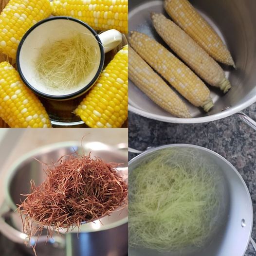 Boil Corn Silk, Drink the Liquid, and You Will Be Grateful for This Advice