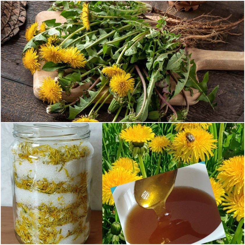 Capturing the Essence of Spring: Easy No-Cook Dandelion Honey with Lemon