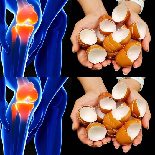 The Remarkable Relief of Eggshells for Knee and Bone Pain