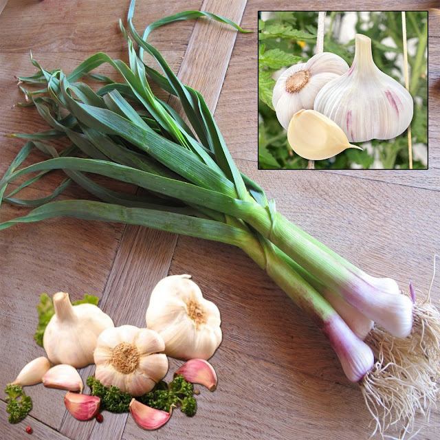 Unveiling 9 Hidden Wonders of Garlic: Revelations I Wish I’d Known Sooner