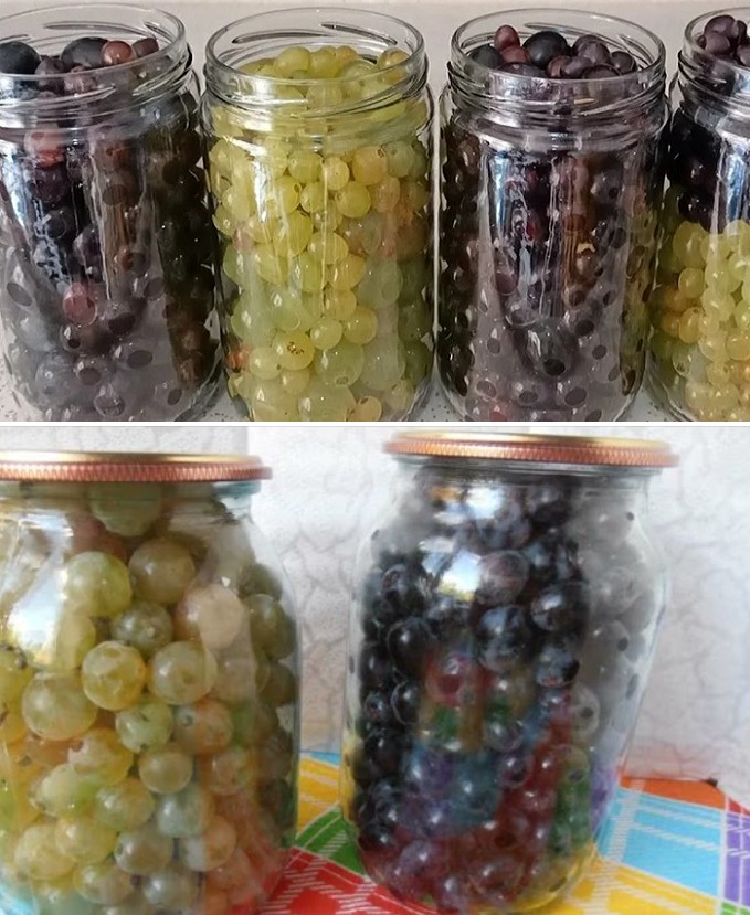 Enjoy Fresh Grapes Year-Round with This Simple Preservation Method