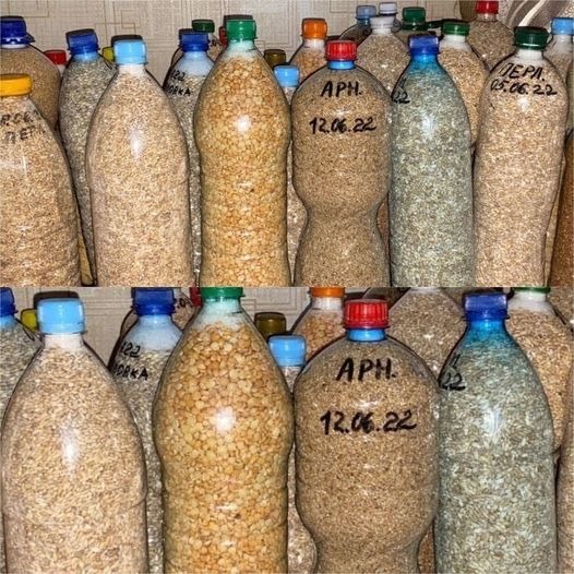 Long-Term Rice Storage: The Bottle Method