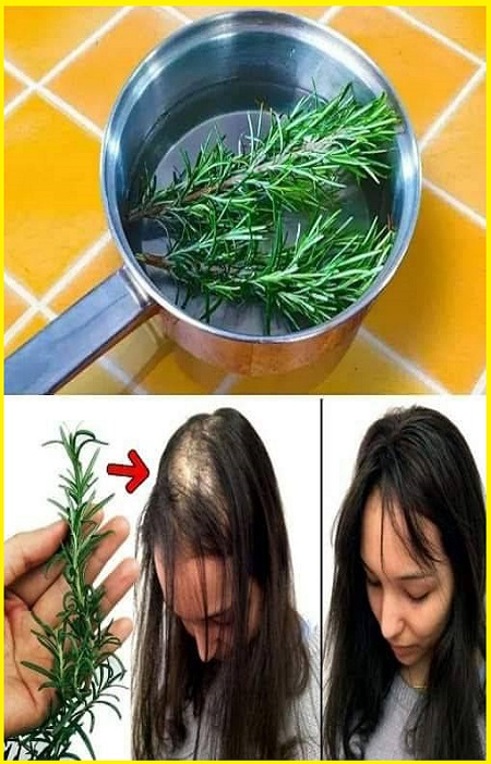 Rosemary for Hair Growth: A Natural Remedy for Stronger, Healthier Hair