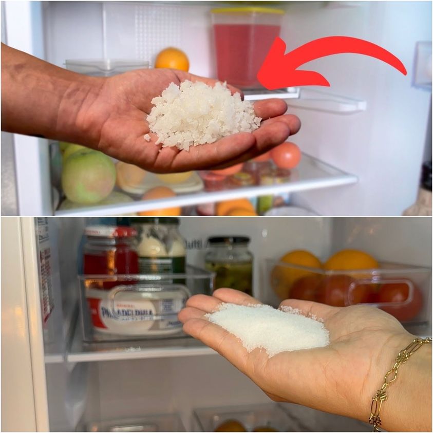 Unveiling the Magic of Salt in Your Refrigerator: A Game-Changing Hack with Minimal Effort