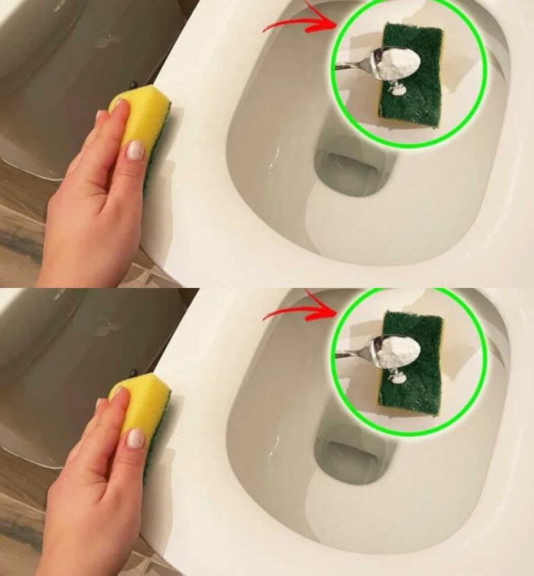 The natural trick to whiten your toilet seat in no time!